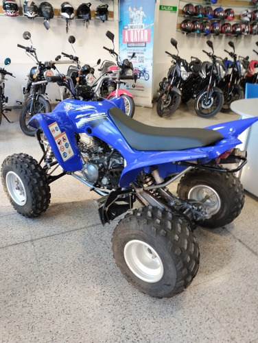 Imagen 8 de 10 de Yamaha Yfm 350r
