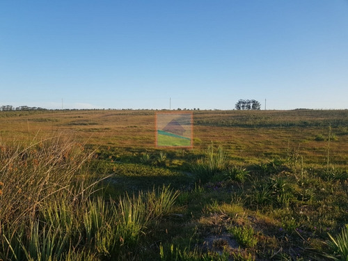 Imagen 4 de 12 de Chacra 7 Hás Rincón De José Ignacio