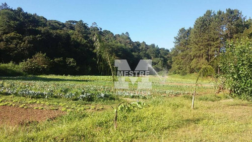 Imagem 28 de 30 de Chácara À Venda, 8750 M² Por R$ 864.000,02 - Capelinha - Guarulhos/sp - Ch0024