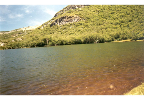 En Venta 2.355 Hectáreas, Sector Precordillera Los Ángeles