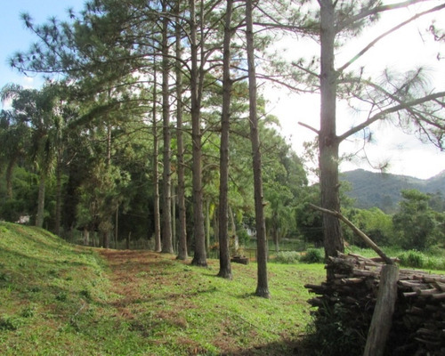 Imagem 8 de 11 de São Lourenço Da Serra, Lazer/morar - 04388 - 33229094