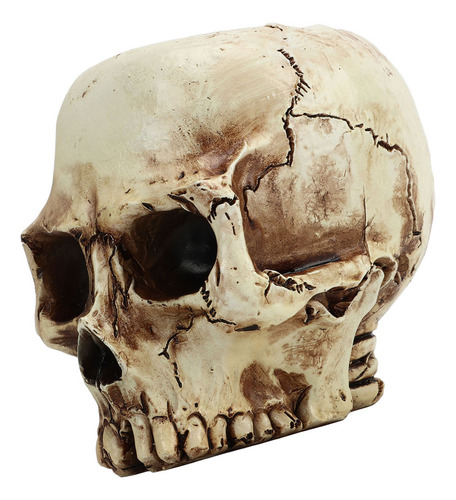 Maceta De Resina Con Forma De Calavera Y Flor, De Alta Resis