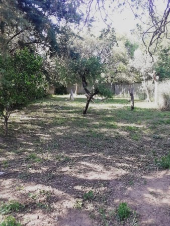 Imagen 4 de 6 de Hermoso Terreno En El Talar De Mendiolaza!!
