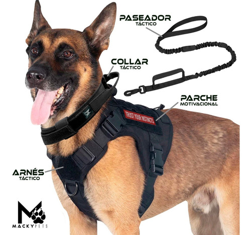 Imagen 5 de 10 de Pechera Táctica Perro + Collar + Paseador + Parche /talla Xl