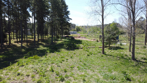 Venta De Lotes 2.500 Mts.2 En Chacras Del Pinar, Maldonado (ref: Iea-2089)