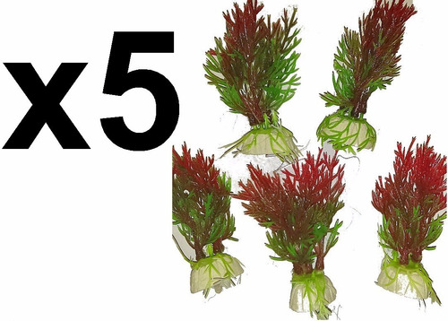 5 Plantas Acuario Pecera Peces Artificial Decoracion 10cm M1