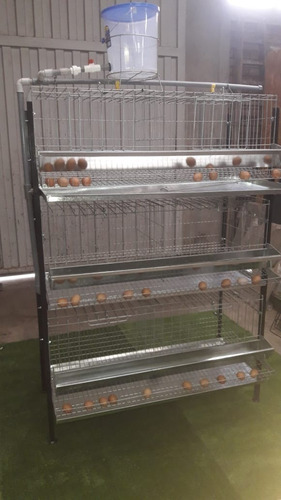 Jaula Para Gallina Ponedora De 03 Pisos