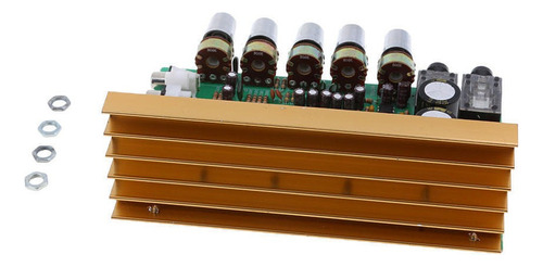 2 Canales 100w + 100w Módulos De Placa De Amplificador De