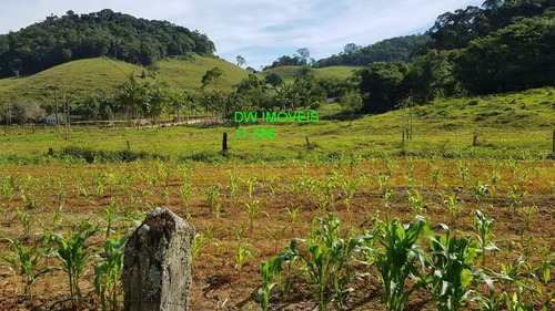 Imagem 11 de 30 de Juquiá/sitio Com Pupunha/ Pasto E 05 Lagos Para Pesqueiro - 04857 - 34121206