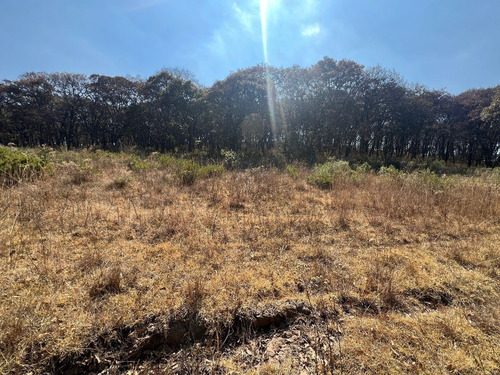 Vendo 3 Terrenos Entre Real De Valle Escondido Y Carr. Mex-guadalajara Vte781