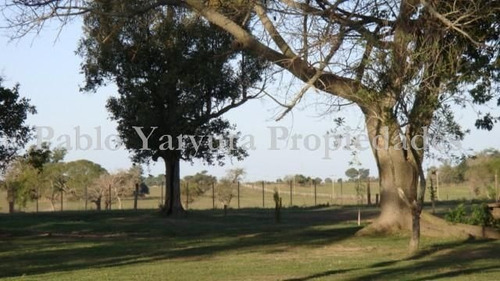 Campo En Venta En Esquina