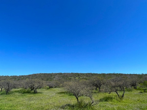 Sitios En Venta En Limache
