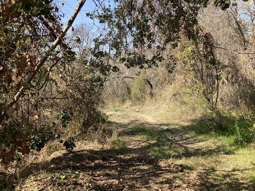 Ofertas , Sitio Parc Venta En Paine , Frente Laguna Aculeo