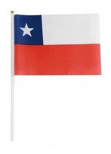 Bandera De Chile 90x58cm