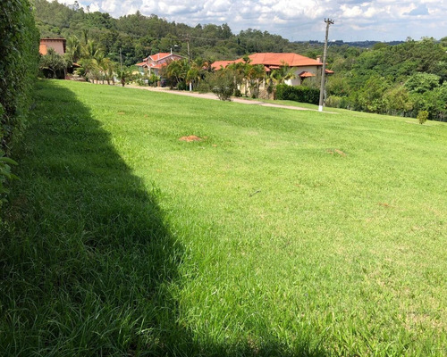 Imagem 2 de 5 de Terreno - Te01085 - 69272715