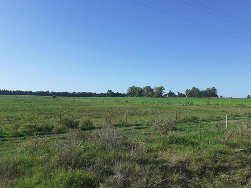 Venta De Chacra Colonia