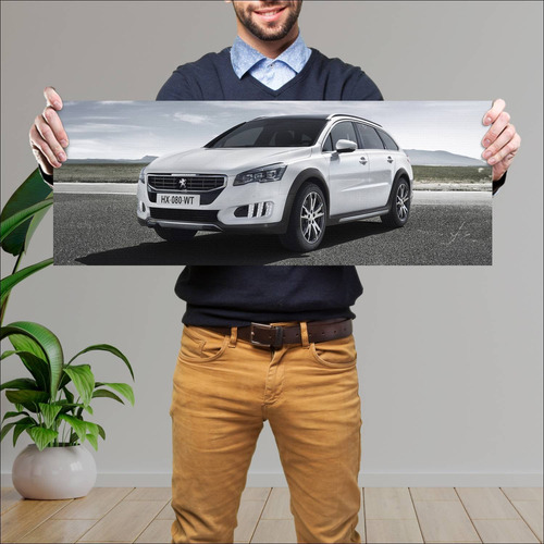 Cuadro 30x80cm Auto 2014 Peugeot 508 Rxh Auto 68