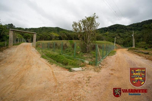 Imagem 6 de 15 de Sitio - Centro - Ref: 1401 - V-1401