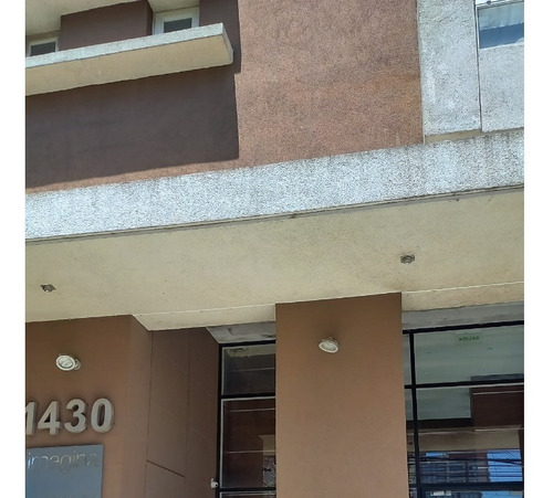 Imagen 13 de 30 de Nuevo Departamento Disponible