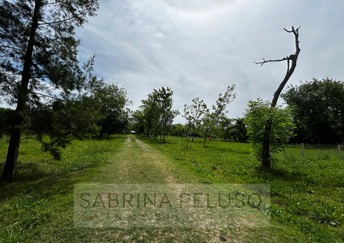 Lote Venta La Reja Moreno