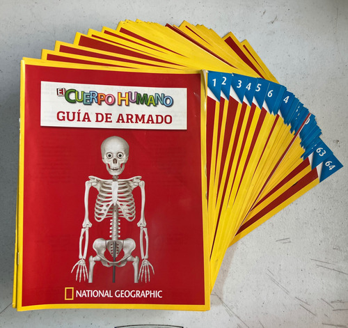 Colección: El Cuerpo Humano (sin Postes Y Sin Base) (Usado)