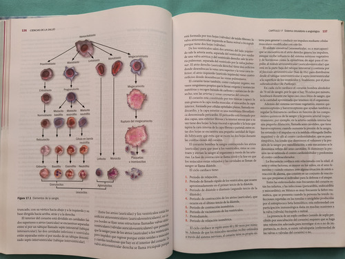 Ciencias De La Salud Bertha Higashida 6a Ed 2008 (Usado)