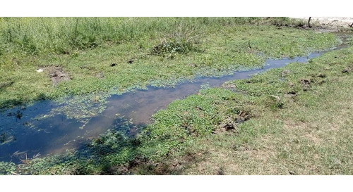 Imagen 5 de 11 de Terreno En La Falda