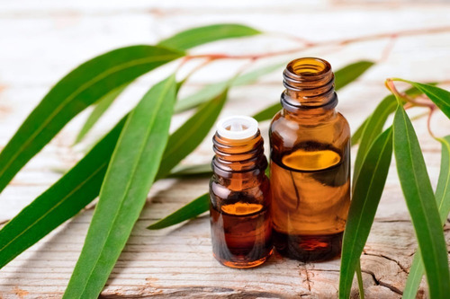 Imagen 1 de 5 de Aceite Esencial Para Cremas X1l Eucalipto