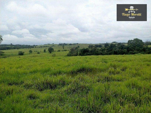 Imagem 6 de 15 de Fazenda Rural À Venda, Jardim Santo Antônio, Quadra - . - Fa0026