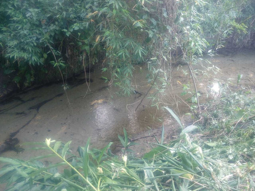 Imagem 4 de 5 de Terreno Na Praia Em Mongaguá Área De Chácara Ref.468