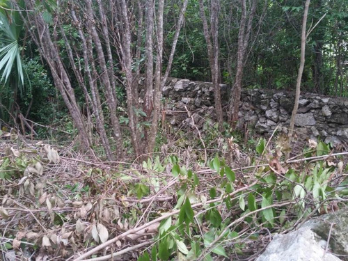 Imagen 5 de 12 de Terreno En Venta Cuna Maya Smza. 205