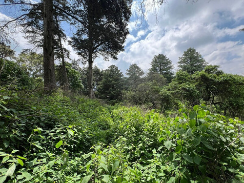 Terreno En Venta En Amecameca