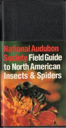 Field Guide North American Insects & Spiders National Audubo