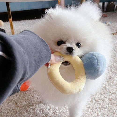 . Peluche Squeaky Pet Soft Interactivo -cabeza