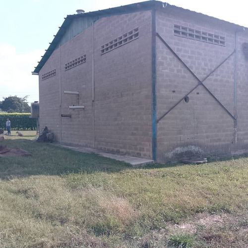 Terreno Agrícola De 8 Hectáreas En Nirgua Socc