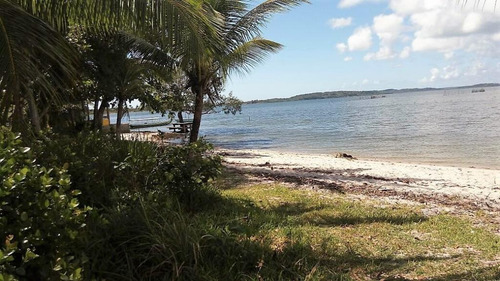 Imagem 6 de 21 de Terreno Beira Mar Em Marau - Te0028