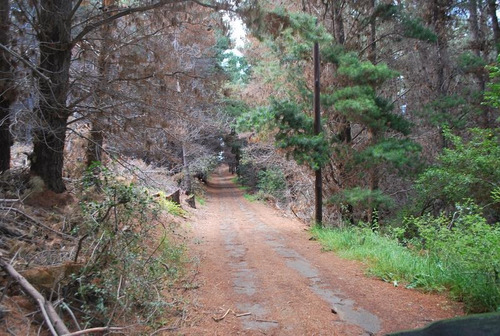 Imagen 2 de 9 de Terreno - Península De San Pedro