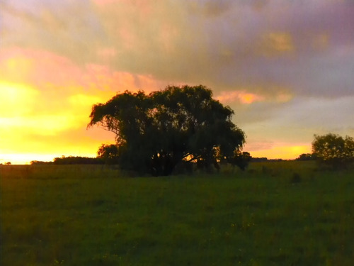 Excelente Campo Muy Seguro Para Caballos Y/o Agricultura