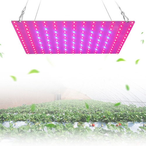 Luz De Cultivo Led Full Spectrum 81