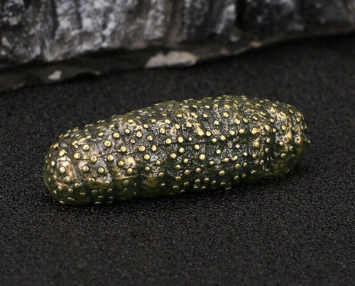 Yc Estatua De Animal De Pepino De Mar De Latón Para Mesa