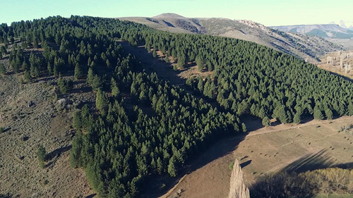 Ruta 23 2300, Aluminé, Aluminé, Neuquén