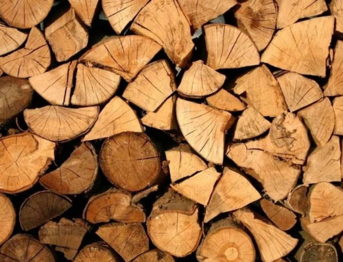 Leña De Encino Para Chimenea, Fogata 20 Kg + Ocote De Regalo
