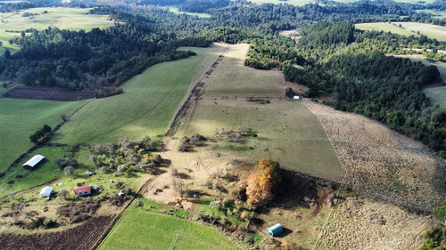Agrícola En Venta En Paraguay Chico, Comuna De Los Muermos
