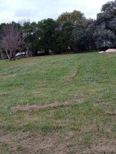 Imagen 7 de 7 de Terreno En Grutly