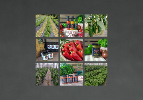 Imagem 3 de 5 de Pimenta Jalapeno Em Conserva 330g