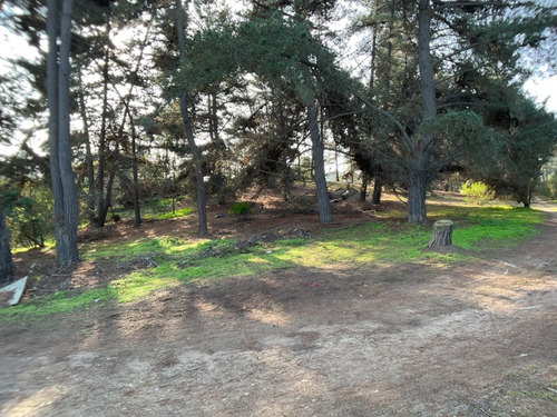 Terreno A Tres Cuadras De Gastón Hamel