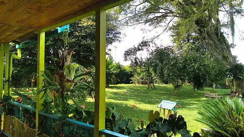 Finca