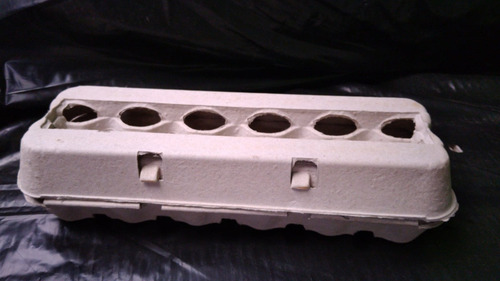 Imagen 2 de 2 de Estuches Y Bandejas Porta Huevos Biodegradable