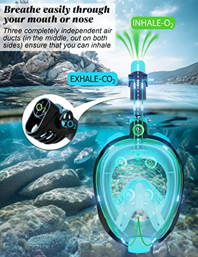 Wstoo Snorkel Mask With Latest Dry Top Breathing System,fold