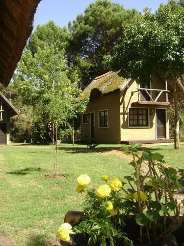 Alquiler Cabaña Para 5 Con Piscina Climatizada, Aa Y Wifi En La Serena Rocha